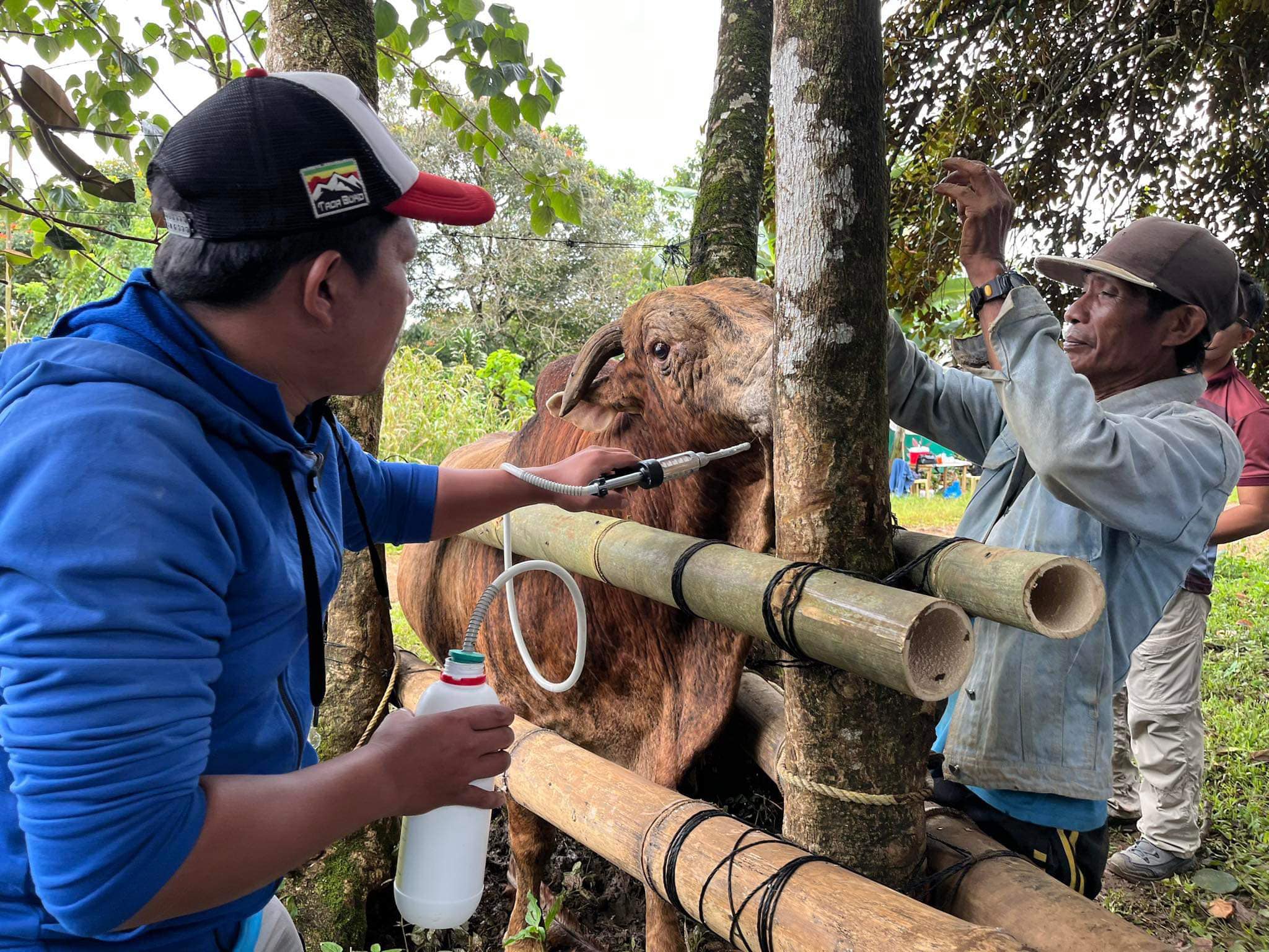 Vitamin Supplementation